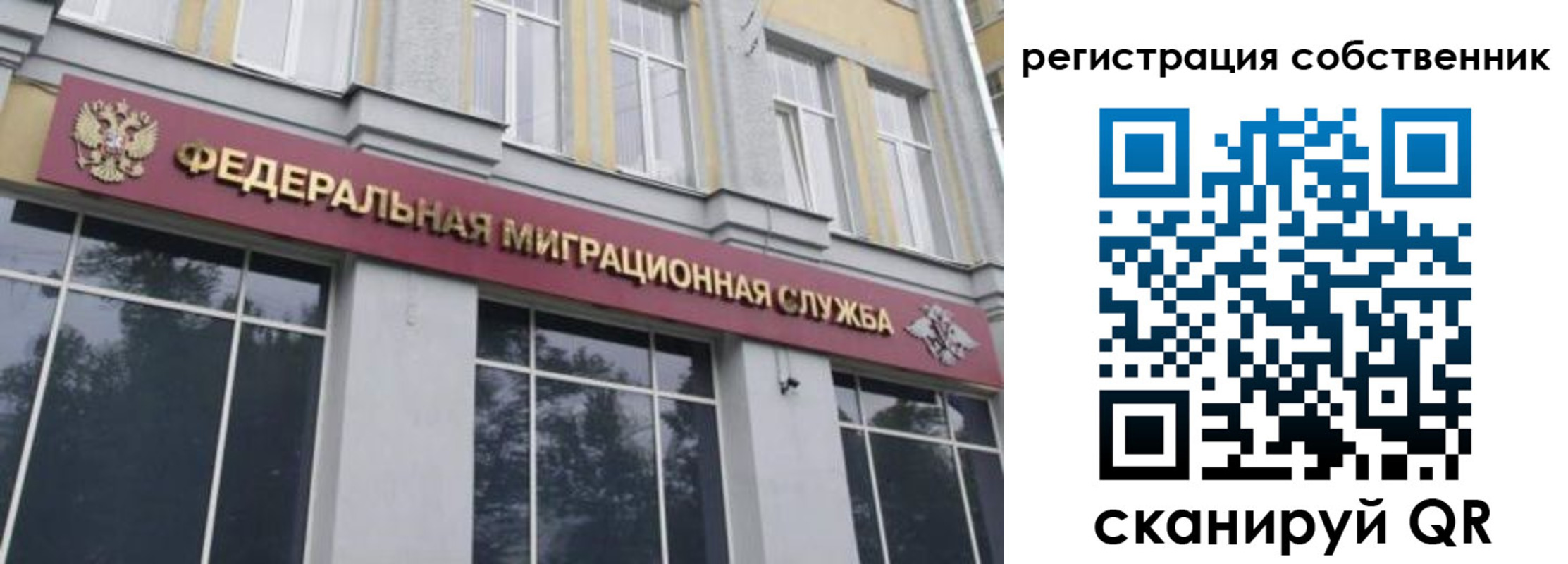 временная регистрация поиск в Йошкар-Оле